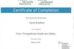 Occupational-Heatlh